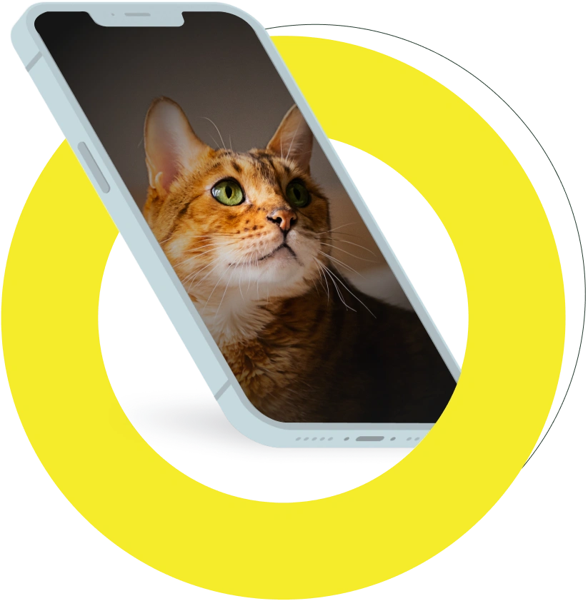 PetDesk App