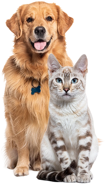 Veterinary Services