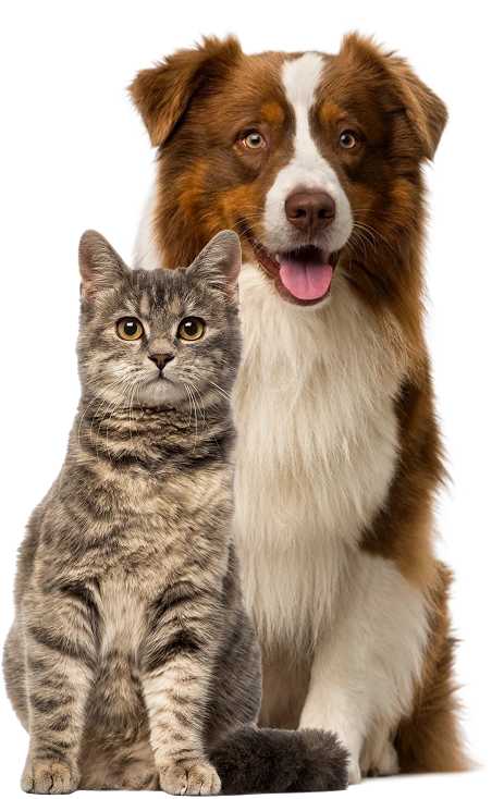 Veterinary Services