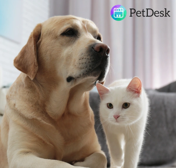 Our PetDesk App
