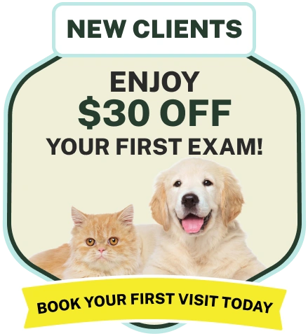 New Clients Offers